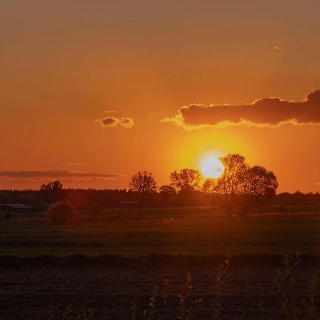 Villa Dwor Na Otulinie Białowieża Esterno foto