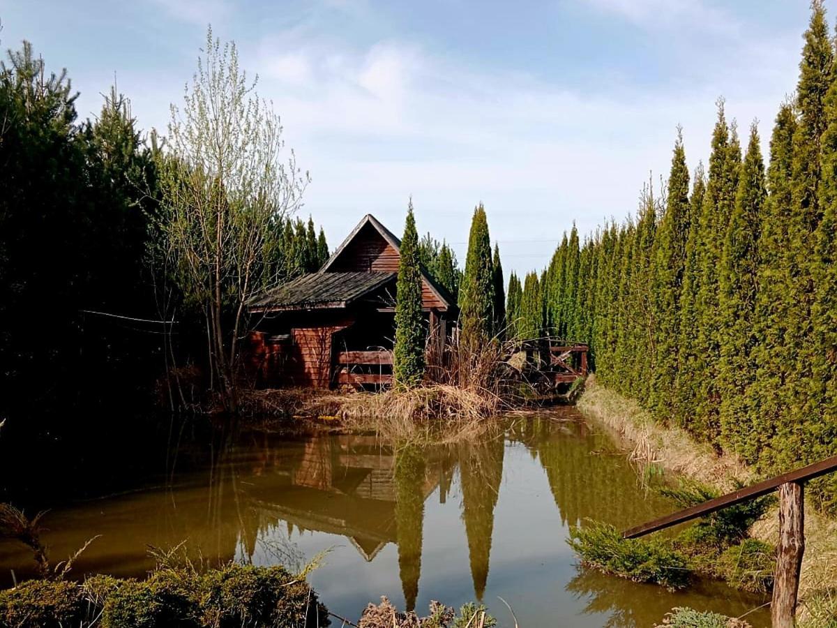 Villa Dwor Na Otulinie Białowieża Esterno foto
